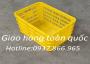 sọt nhựa rỗng đáy đặc, khay nhựa chứa thực phẩm, sọt nhựa đáy đặc