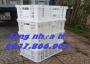 Sọt chế biến thực phẩm trong kho lạnh, sọt nhựa rỗng- sóng hở