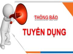 TUYỂN DỤNG TRỢ LÝ DỰ ÁN E-LEARNING