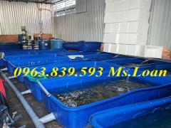 Thùng nhựa 1100L nuôi cá Koi trên sân thượng./ 0963.839.593 Ms.Loan