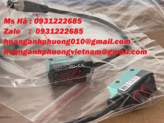 Cảm biến hàng nhập Pepperl+ Fuchs ML6-8-H-150-3881